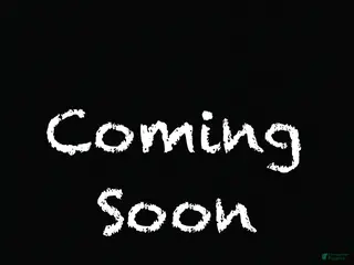 Doberman Pinscher dogs Blythe - Ad 7