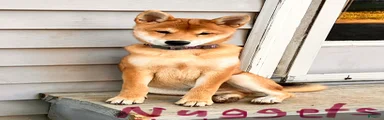 Nuggett