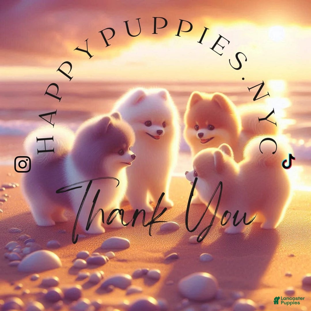 Happypups