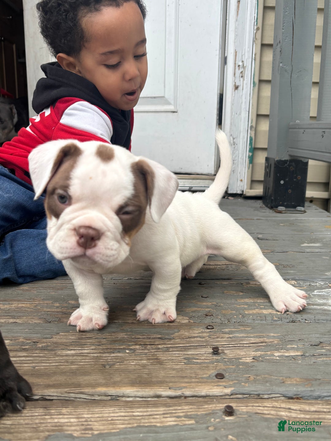 Gallery Image {{count}}