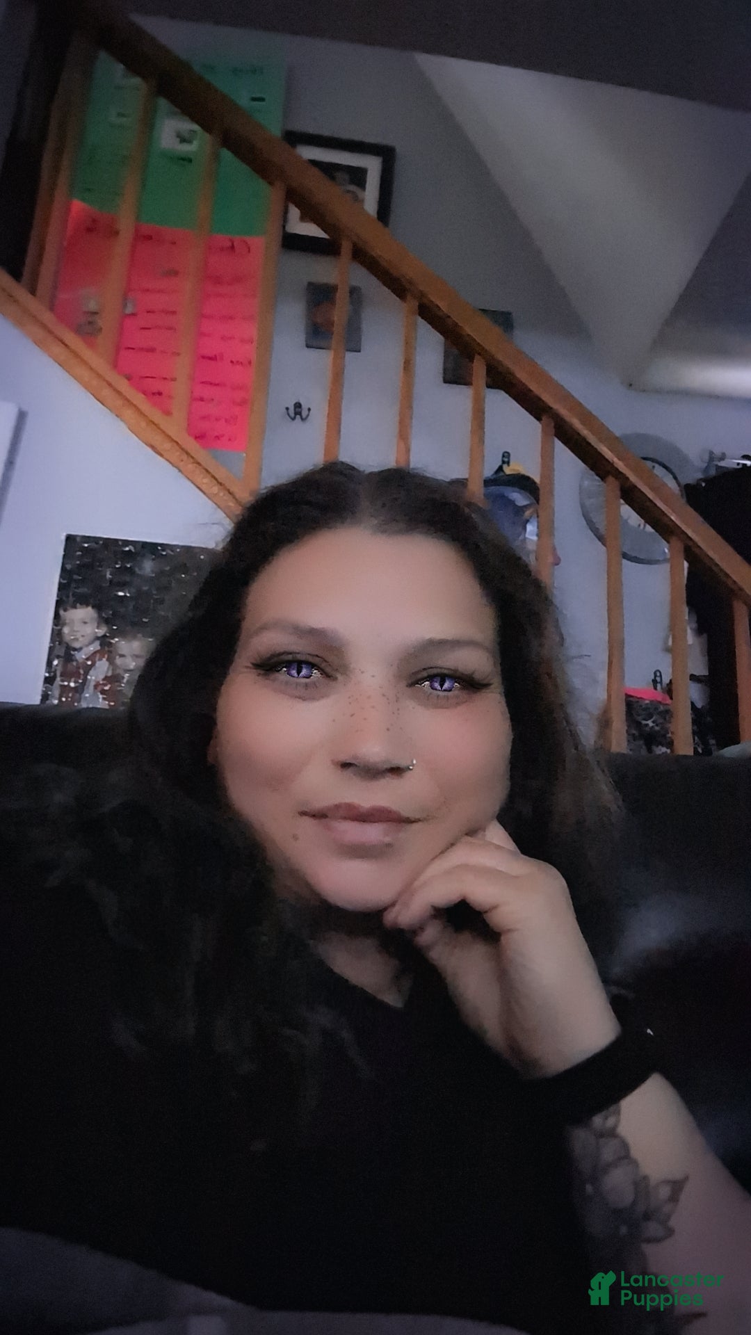 Gallery Image {{count}}