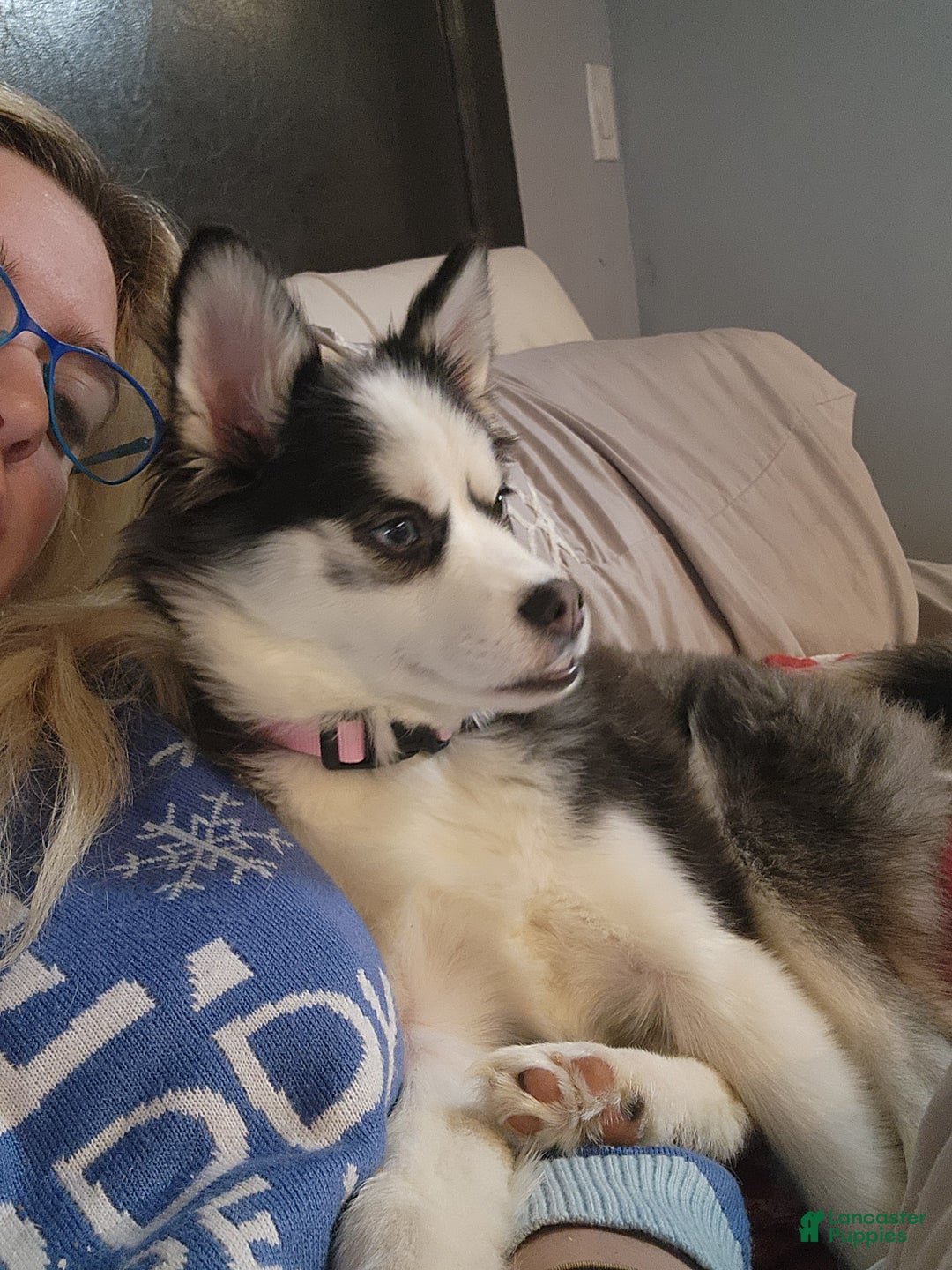 Gallery Image {{count}}