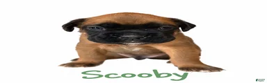 Scooby