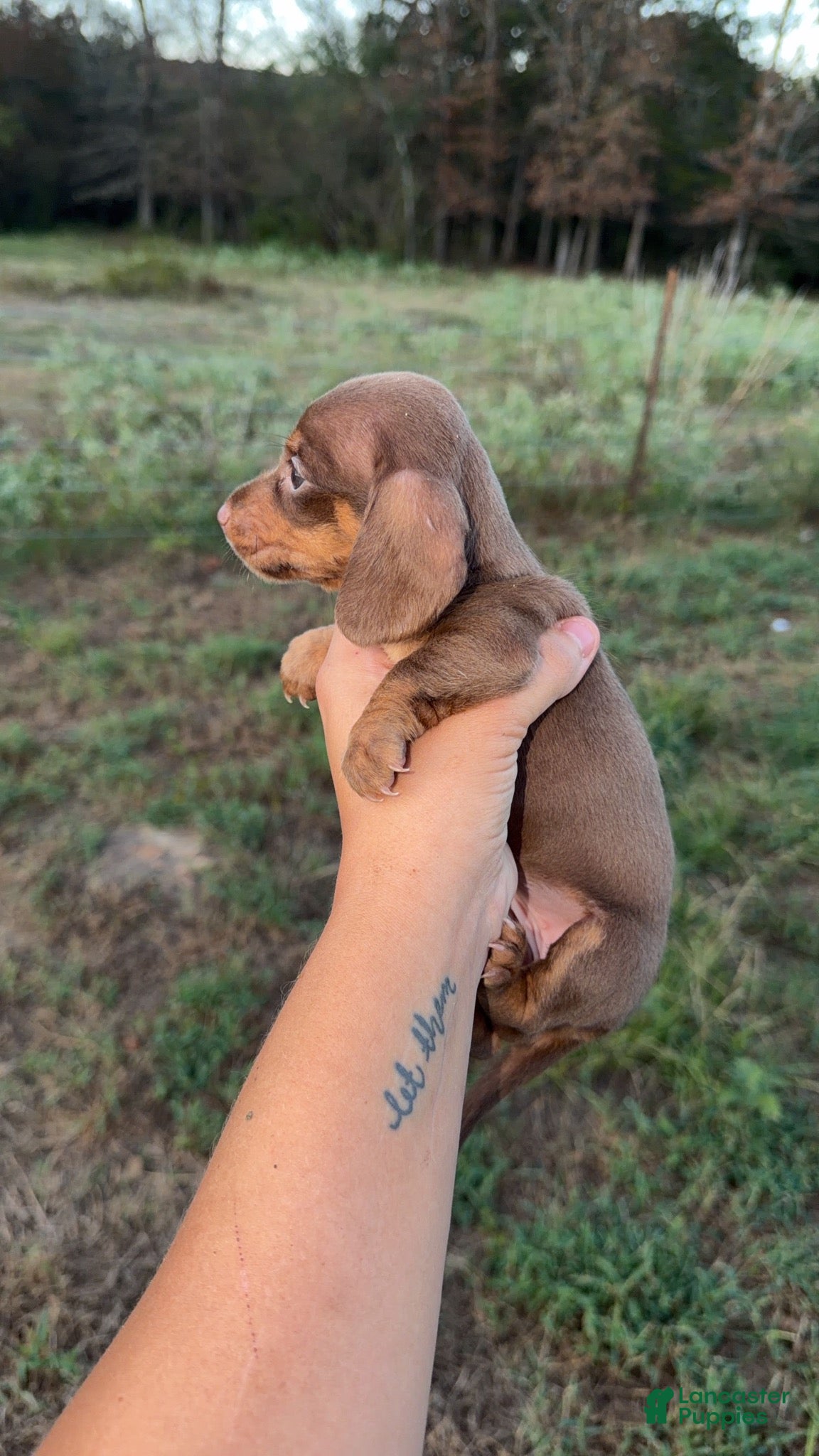 Twix