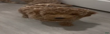 Brownie Brownie