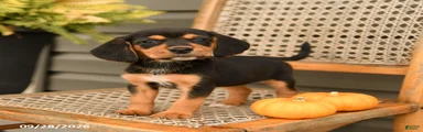 Riley