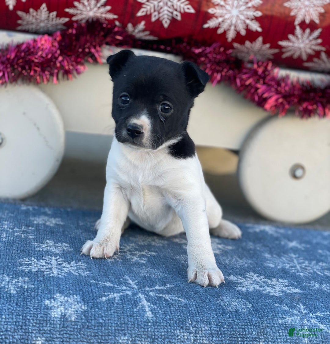 Gallery Image {{count}}