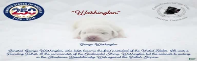 "Washington"