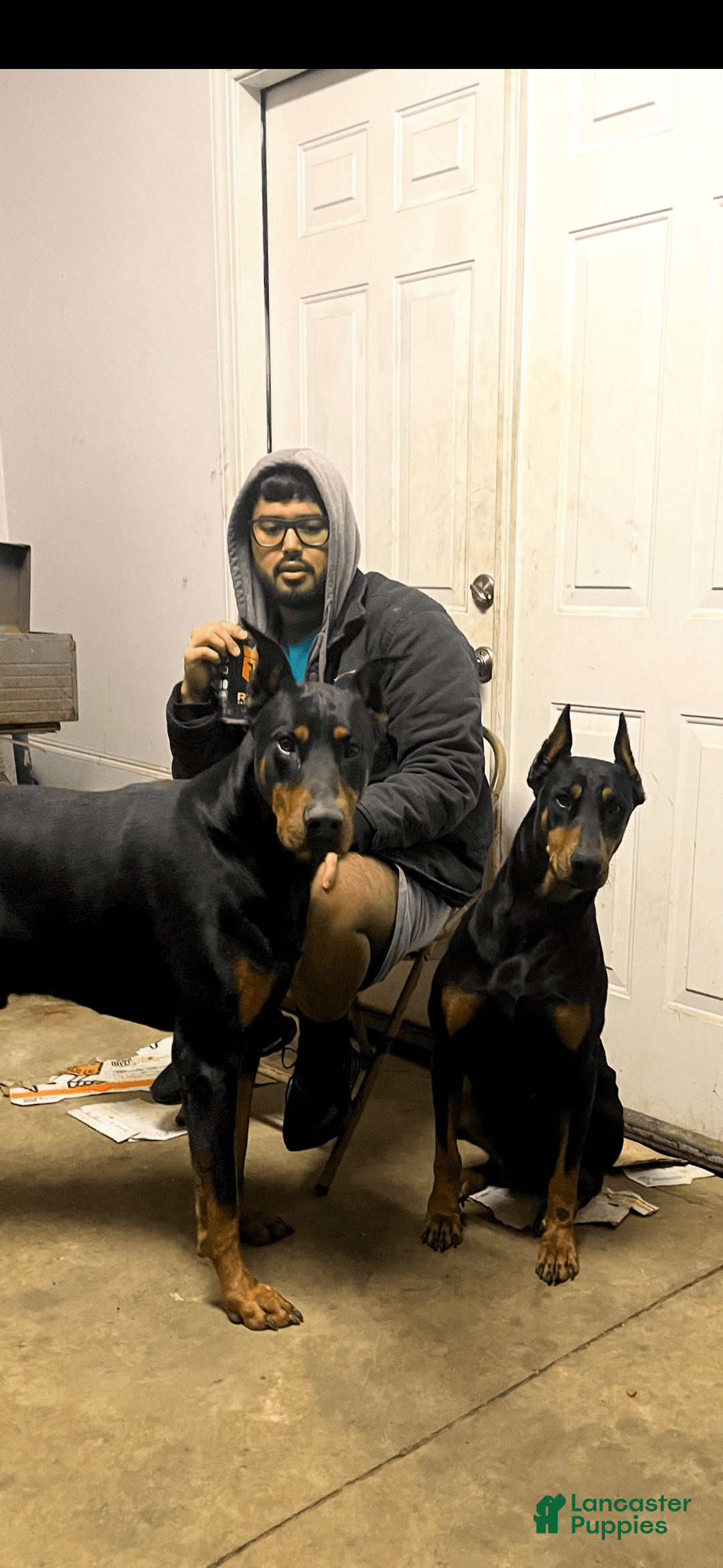 Gallery Image {{count}}