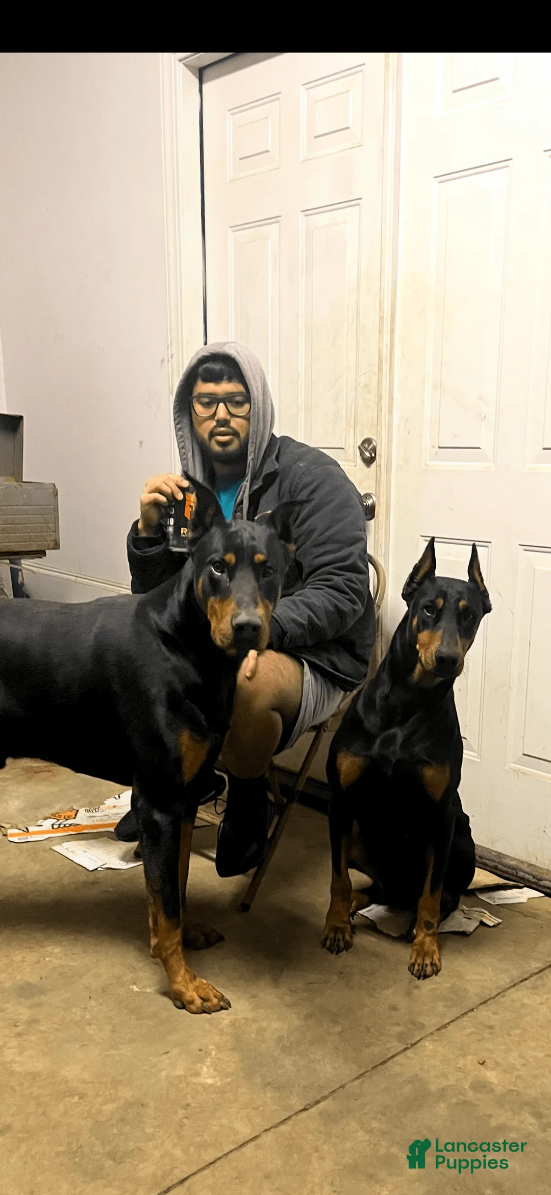 Gallery Image {{count}}