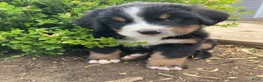 Sicily
