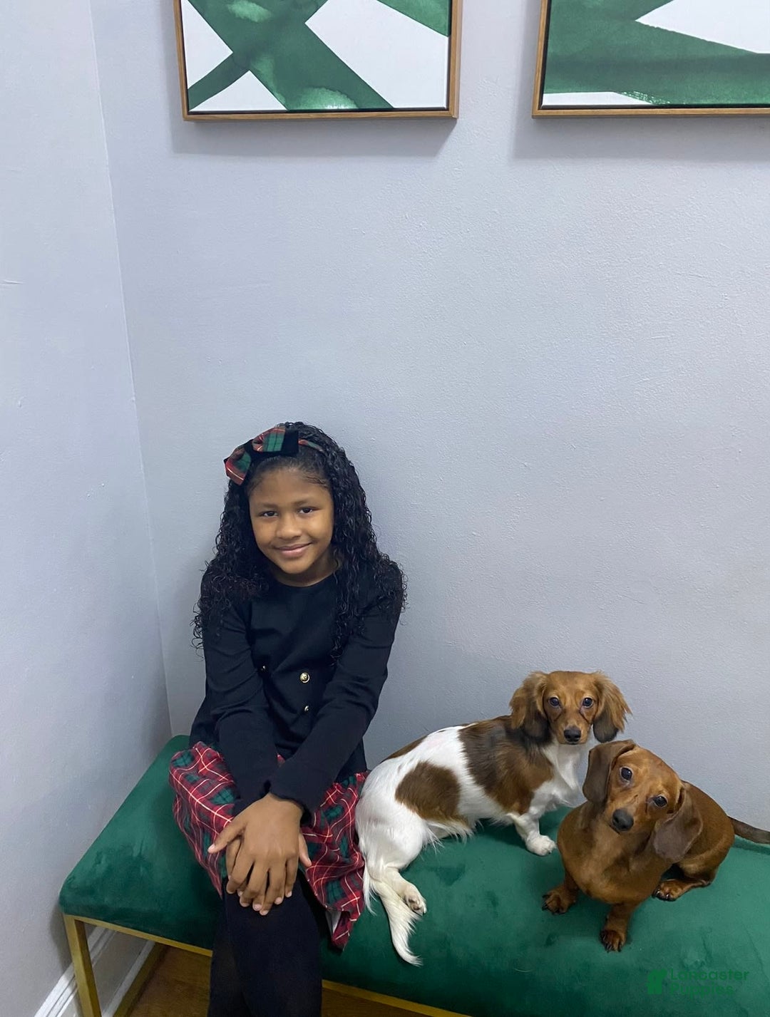 Gallery Image {{count}}