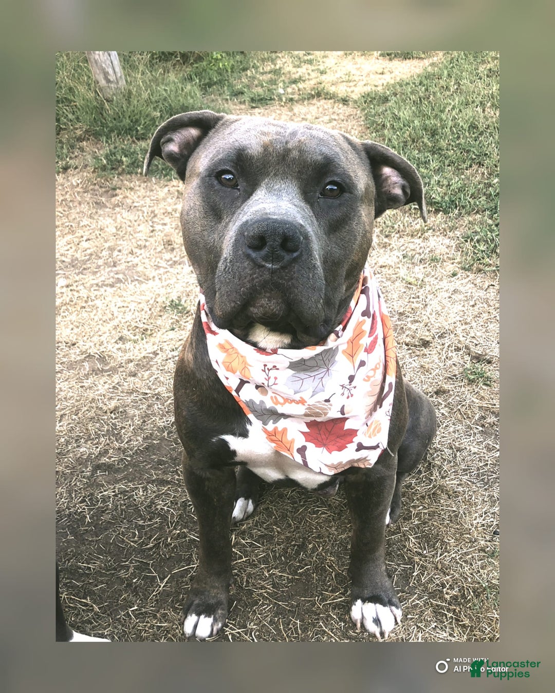 Gallery Image {{count}}