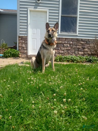 Gallery Image {{count}}