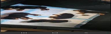 Minnie