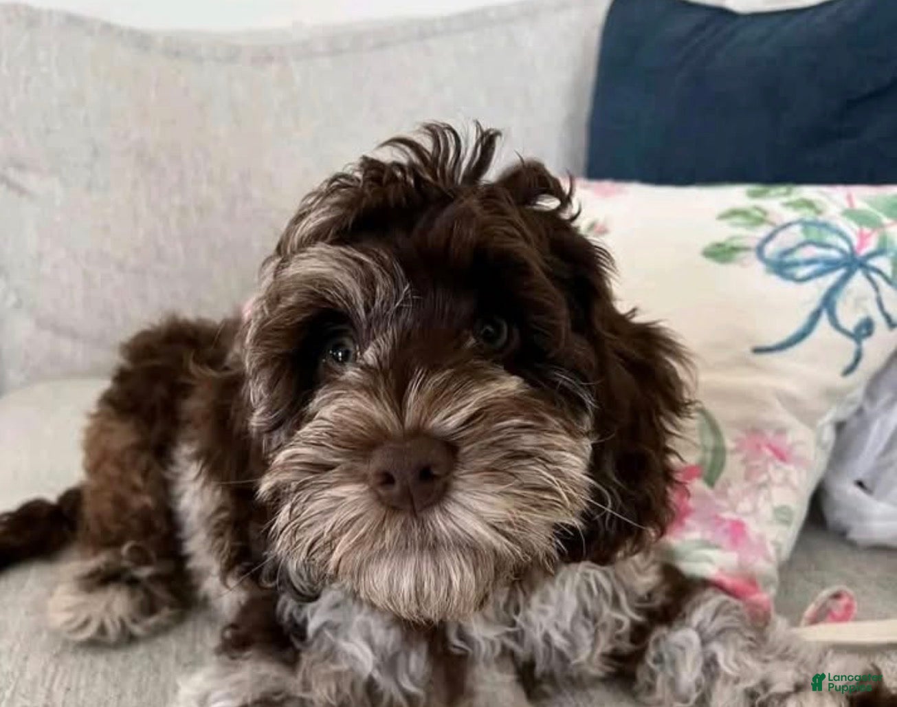 Betty