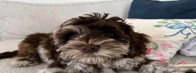 Betty