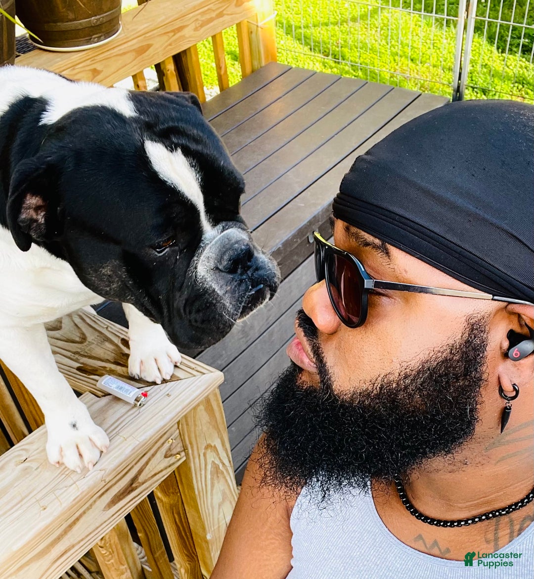 Gallery Image {{count}}