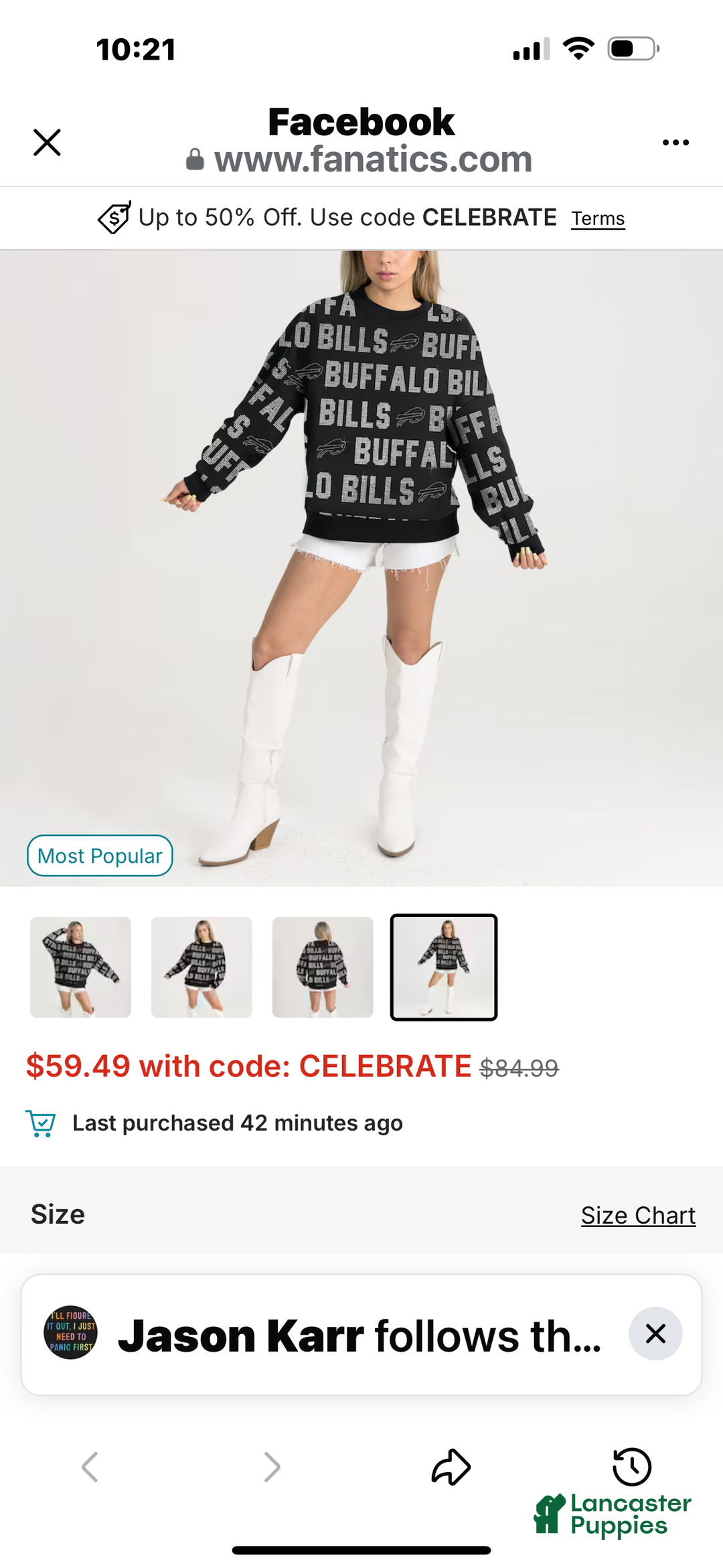 Yorkshire Terrier dogs for sale: Yorkshire Terrier Puppy female 2 - Ad 9