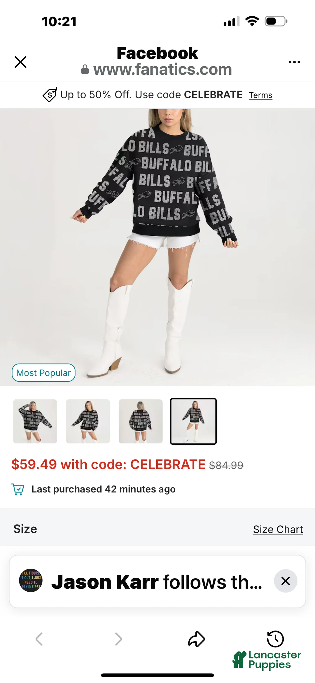 Yorkshire Terrier dogs for sale: Yorkshire Terrier Puppy female 2 - Ad 9