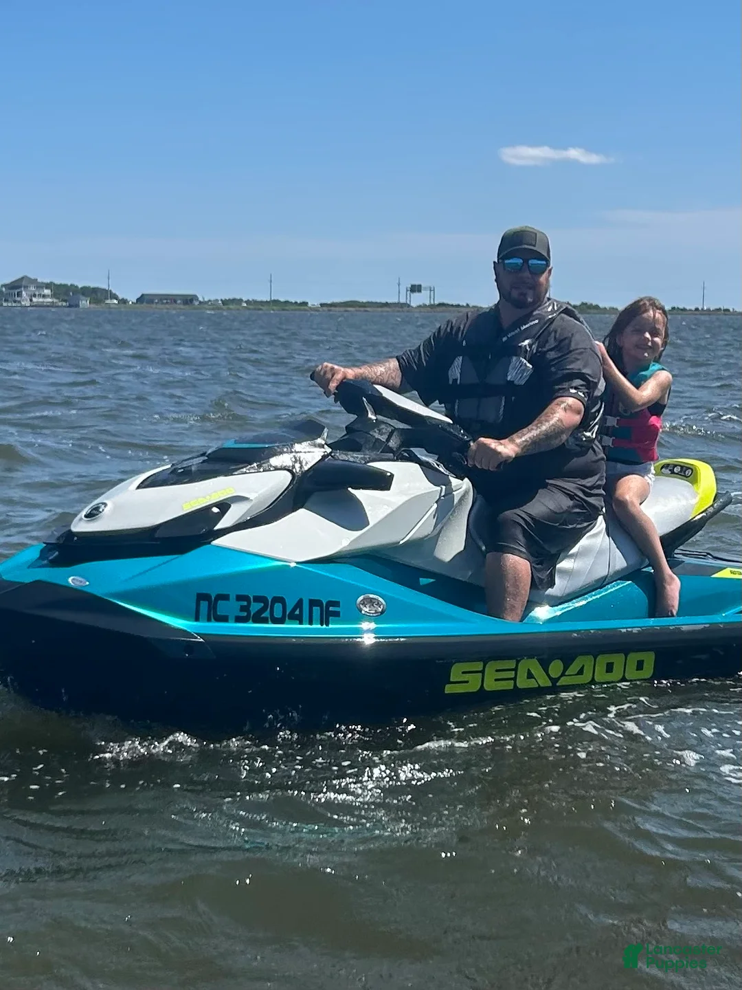 French Bulldog dogs for stud: Benny(stud) - Ad 7