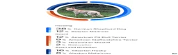 Gerberian Shepsky dogs for sale: Zenzi - Ad 6