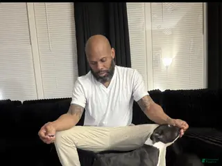 American Bully dogs Apollo - Ad 17