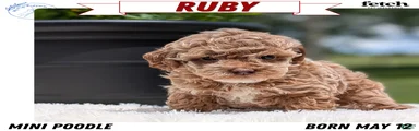 Ruby