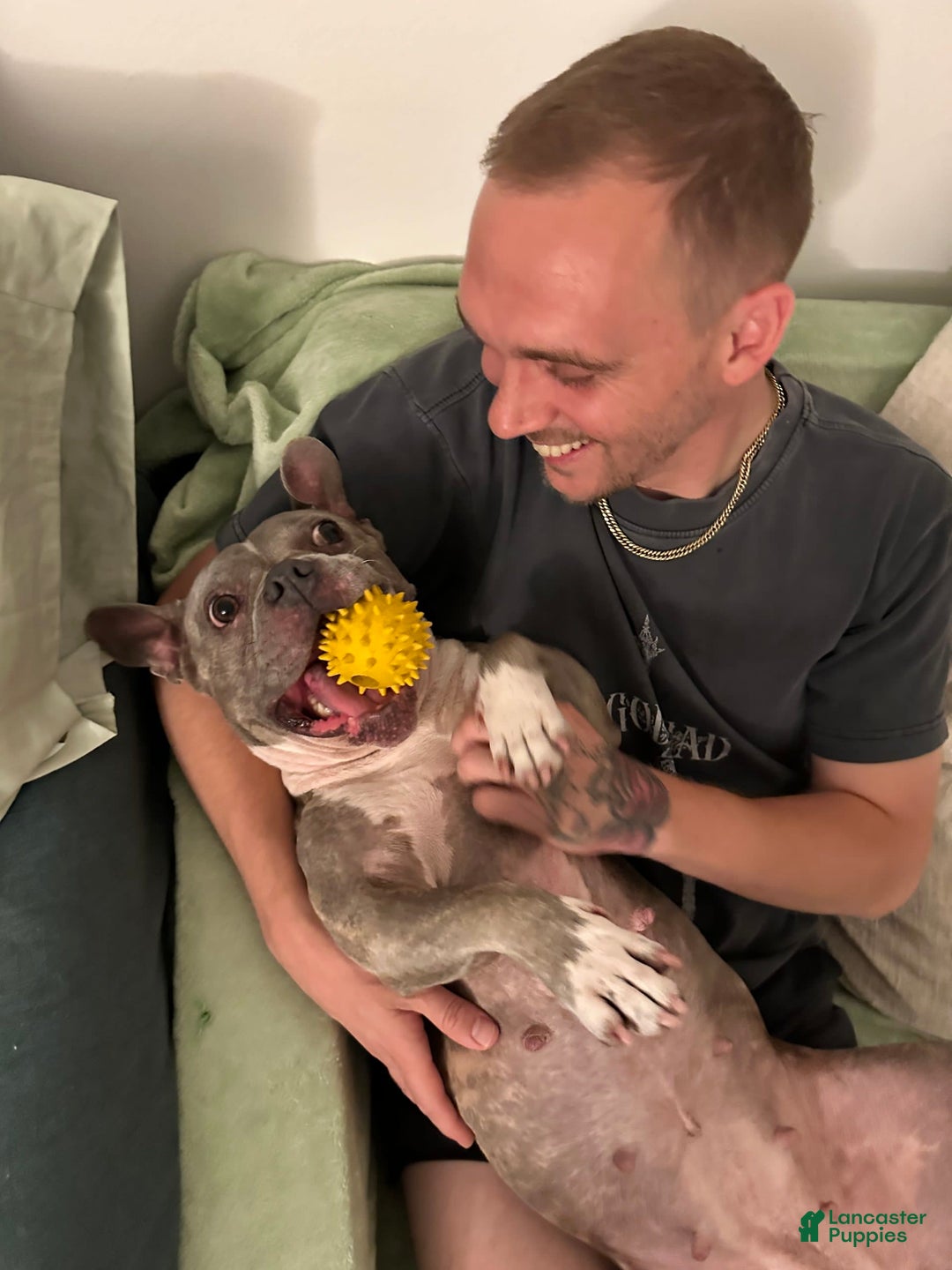 Gallery Image {{count}}