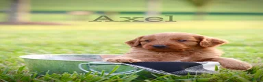 Axel