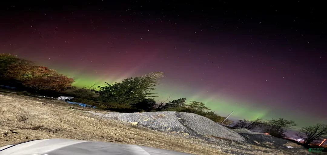 Gallery Image {{count}}