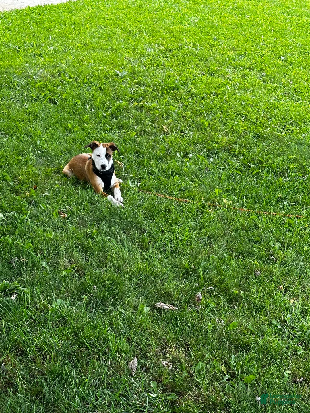 Gallery Image {{count}}