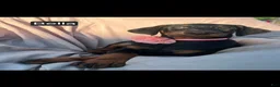 Doberman Pinscher dogs for sale: Bella WEEKEND SPECIAL $250 OFF! - Ad 1