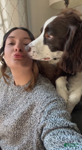 Gallery Image {{count}}