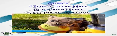 Quincy “Blue” Collar, Male
