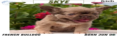 Skye