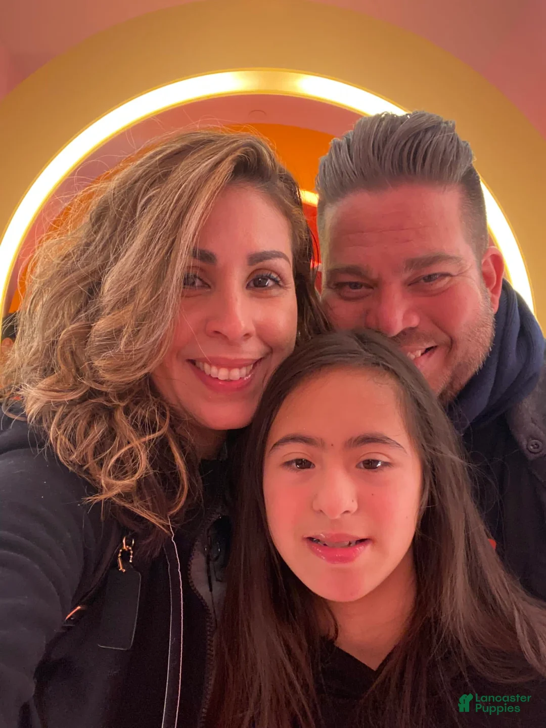 Gallery Image {{count}}