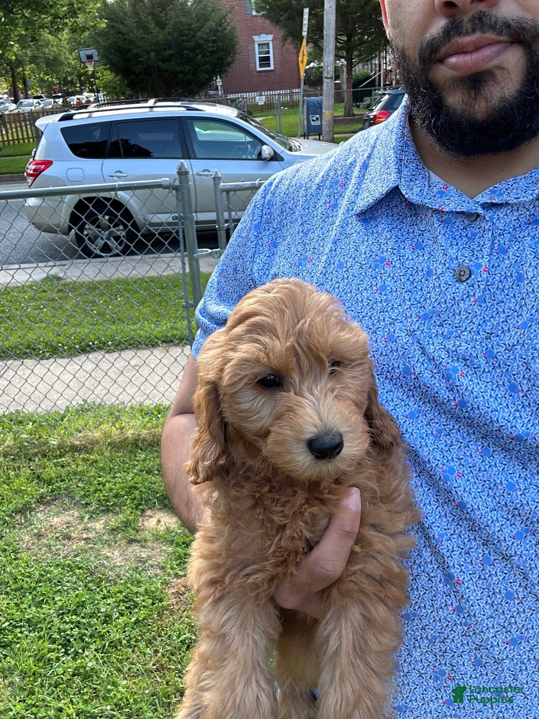 Gallery Image {{count}}