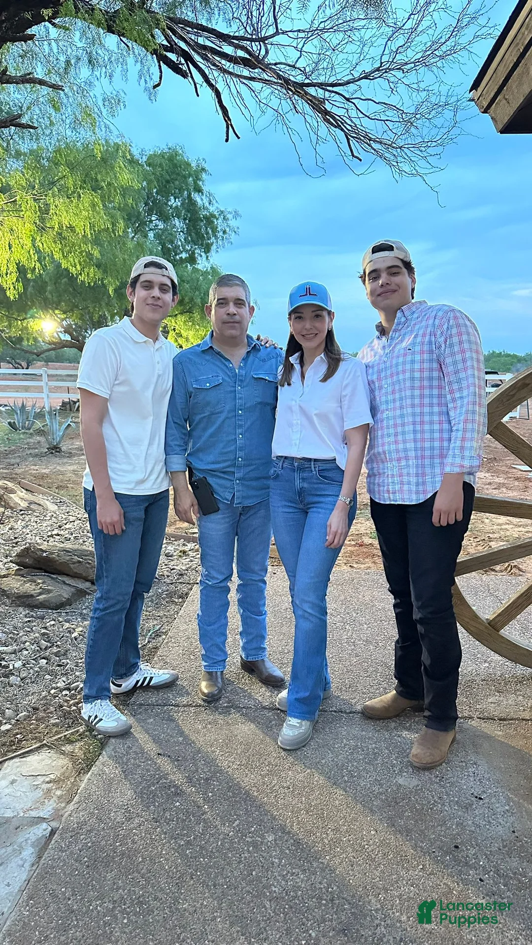 Gallery Image {{count}}