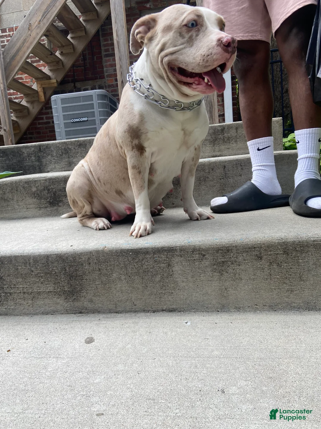 Gallery Image {{count}}