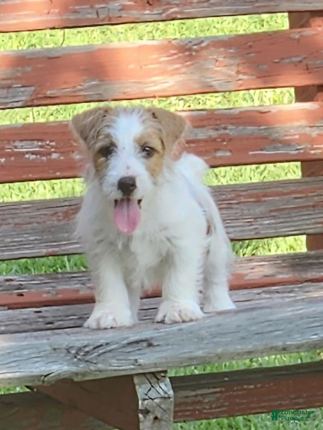 Gallery Image {{count}}