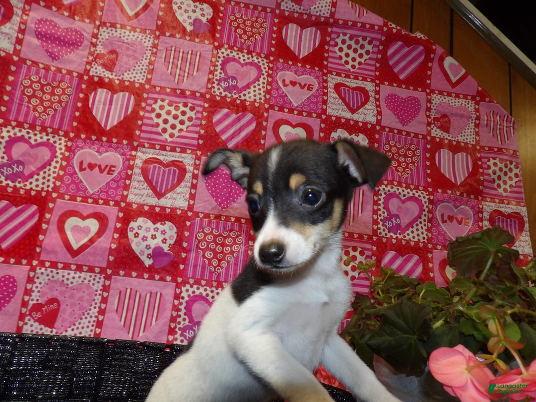 Gallery Image {{count}}