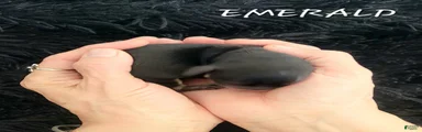 Emerald