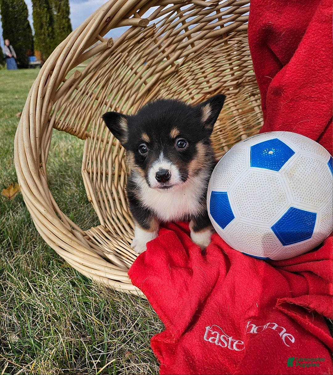 Gallery Image {{count}}