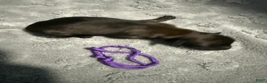 Purple Collar