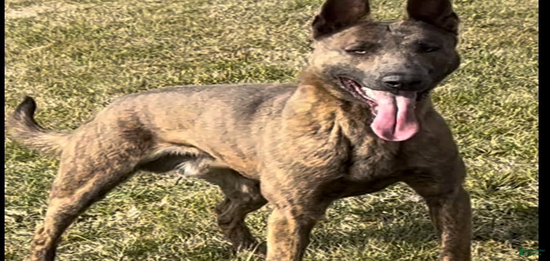 Gallery Image {{count}}