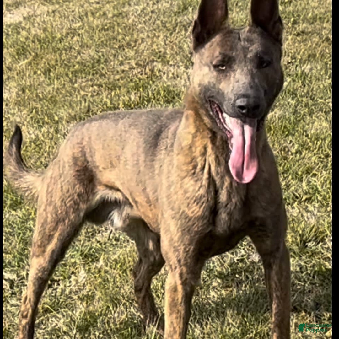 Gallery Image {{count}}