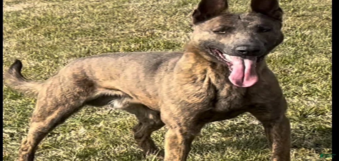 Gallery Image {{count}}