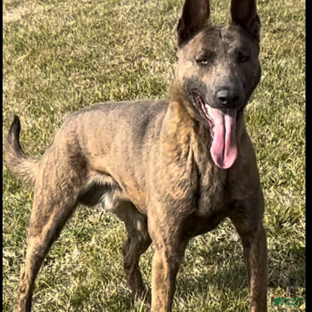 Gallery Image {{count}}