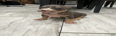 Boy 2